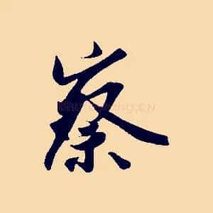 察