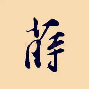 薛