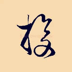 投