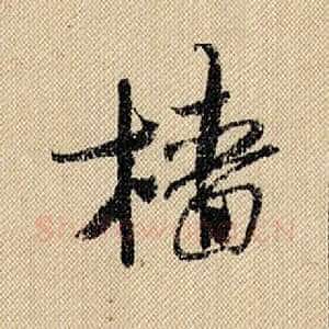 樯