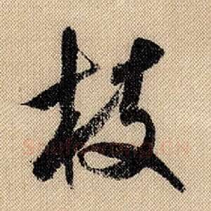枝