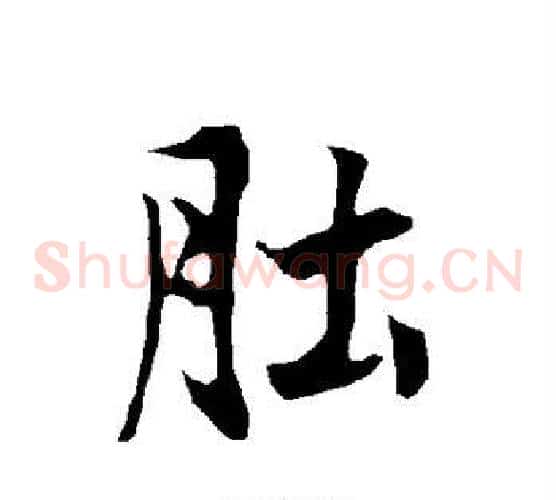 肚