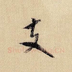 支