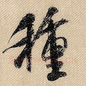 种