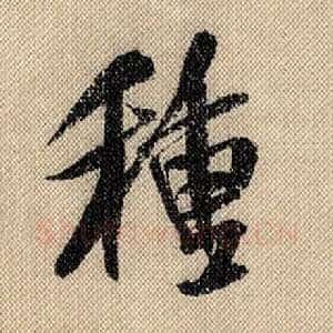 种
