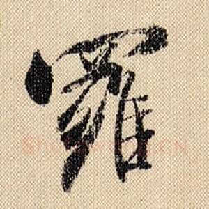 罗