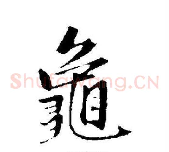 龟