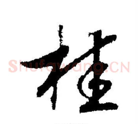 桂