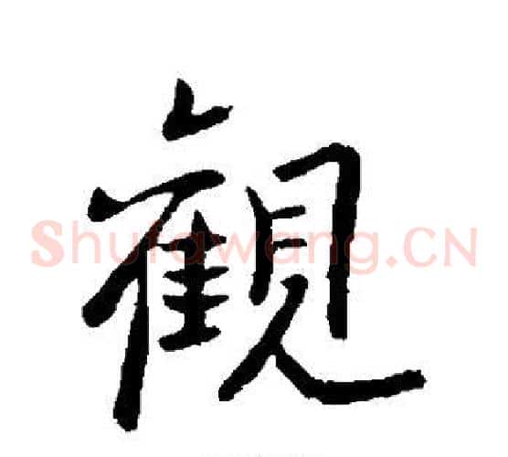 观