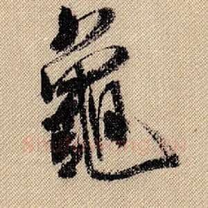 龟