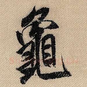 龟