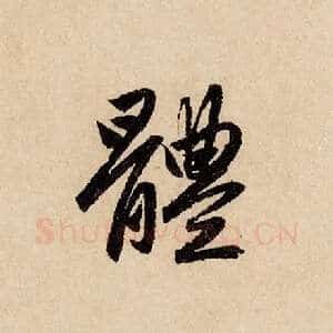 体