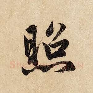 照