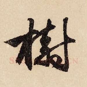 树