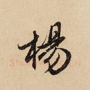 杨