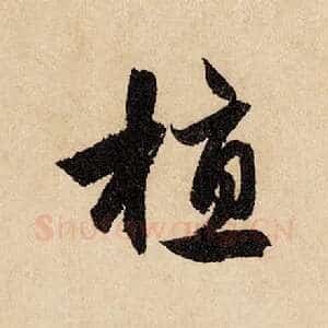 植