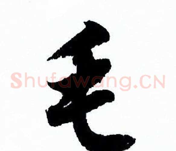 毛