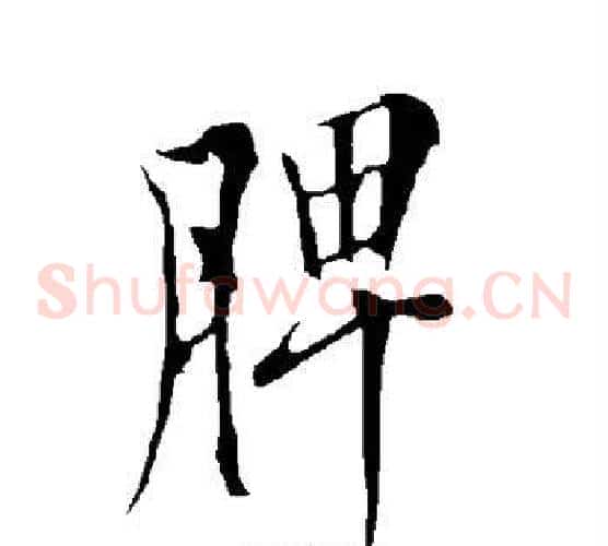 脾