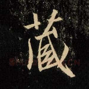 藏