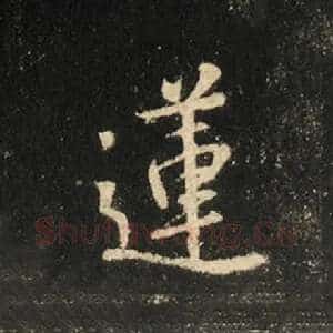 莲
