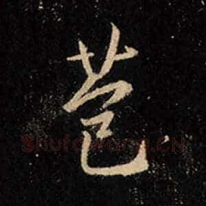 苞