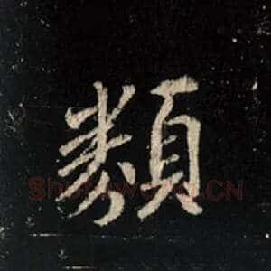 类