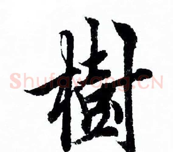 樹