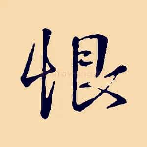 恨