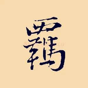 羈
