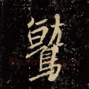 鹫