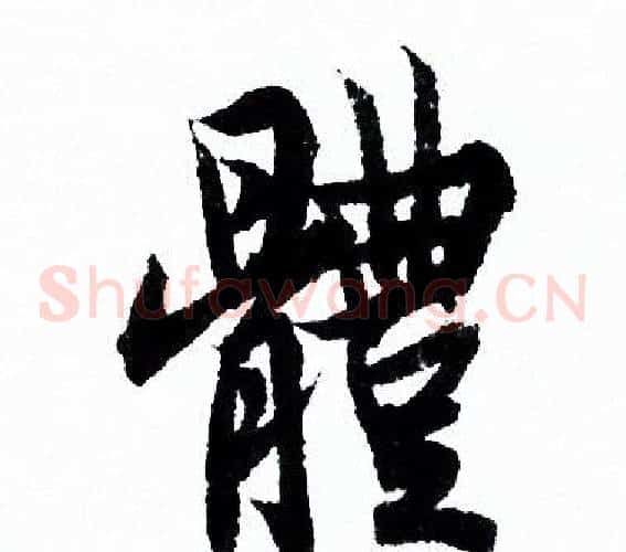 體