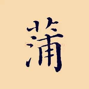 蒲
