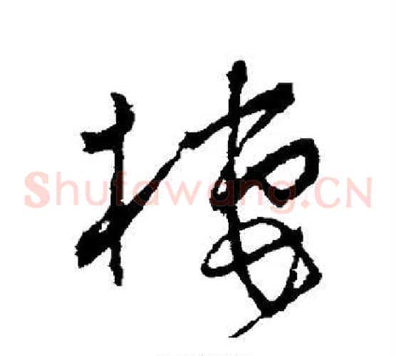 栖