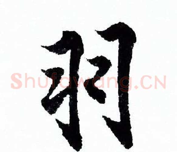 羽