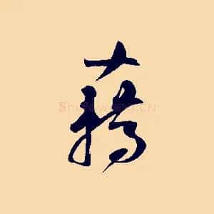 藉
