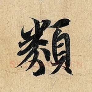 类