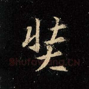 奘