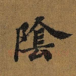 阴