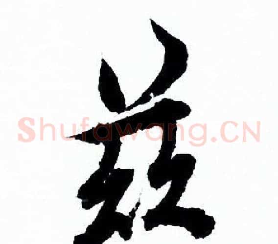 兹