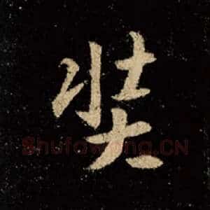 奘