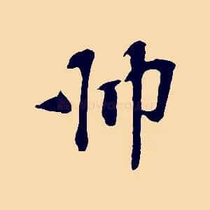 師