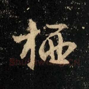 栖
