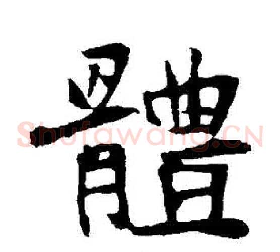 體