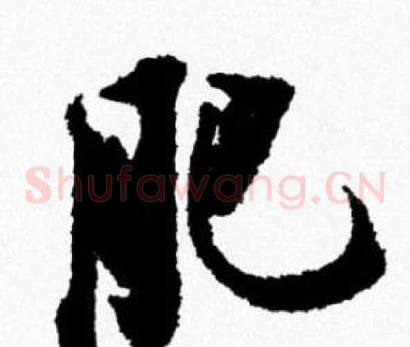 肥