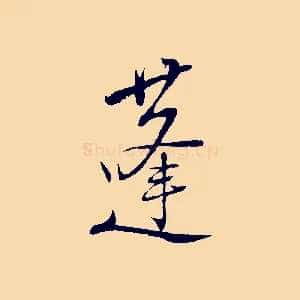 蓬