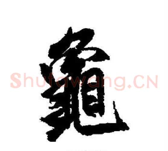 龟