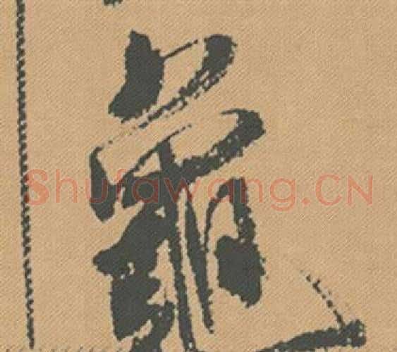 龜