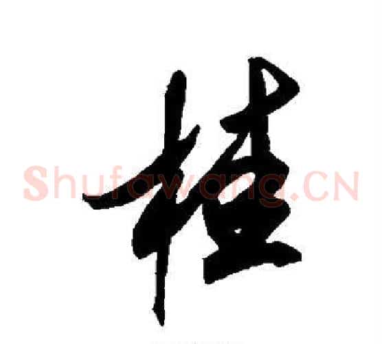 桂