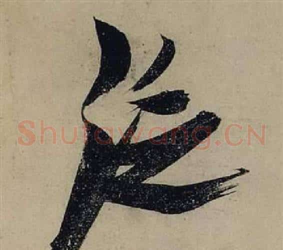 泛