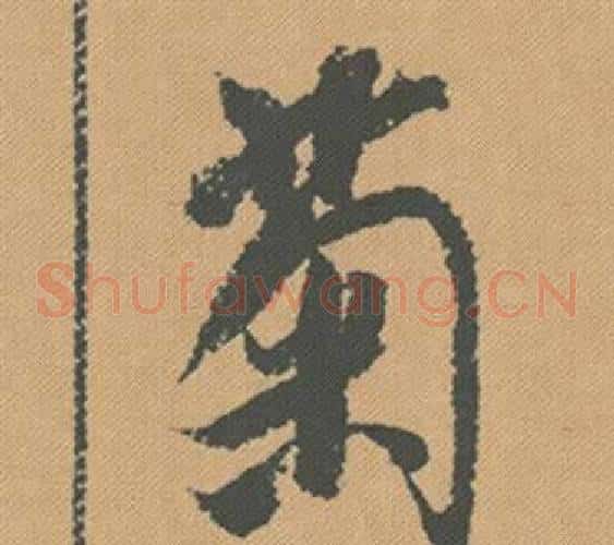 菊